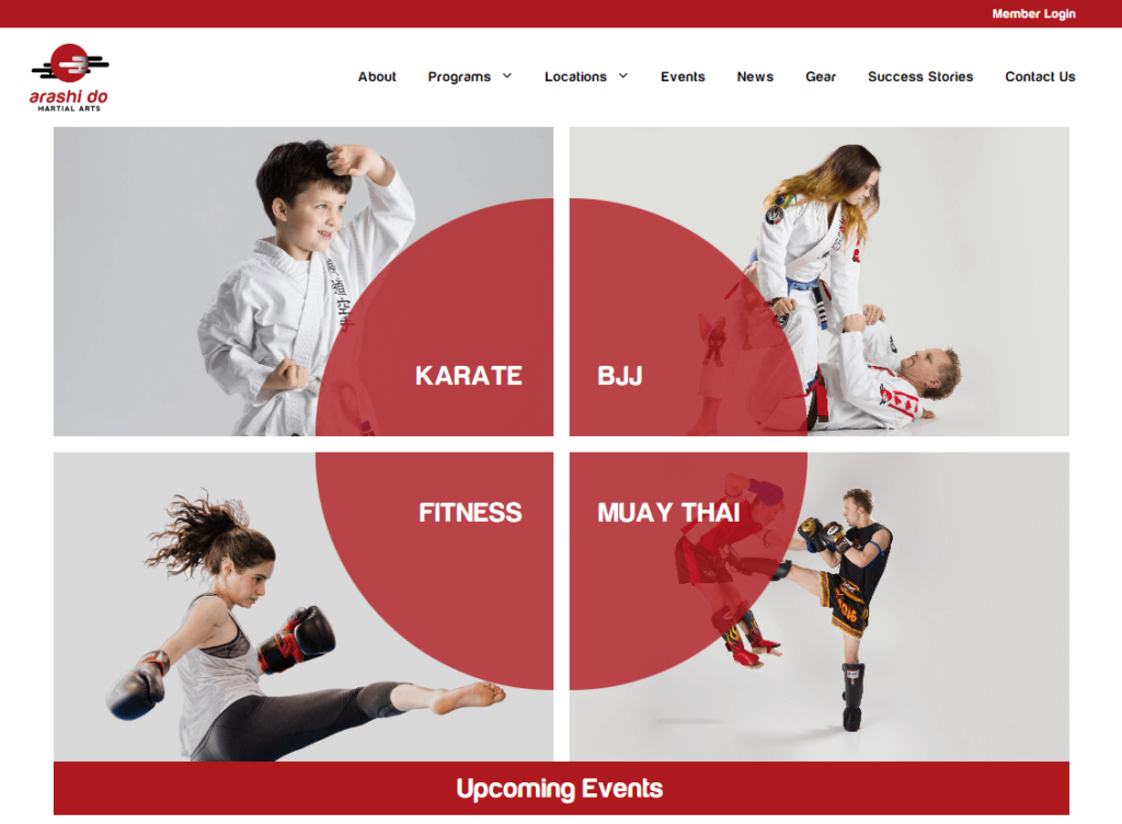 portfolio arashi do-martial arts website