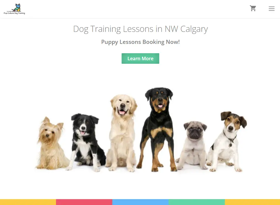 portfolio pup culture dog training