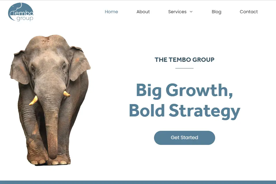 portfolio the tembo group